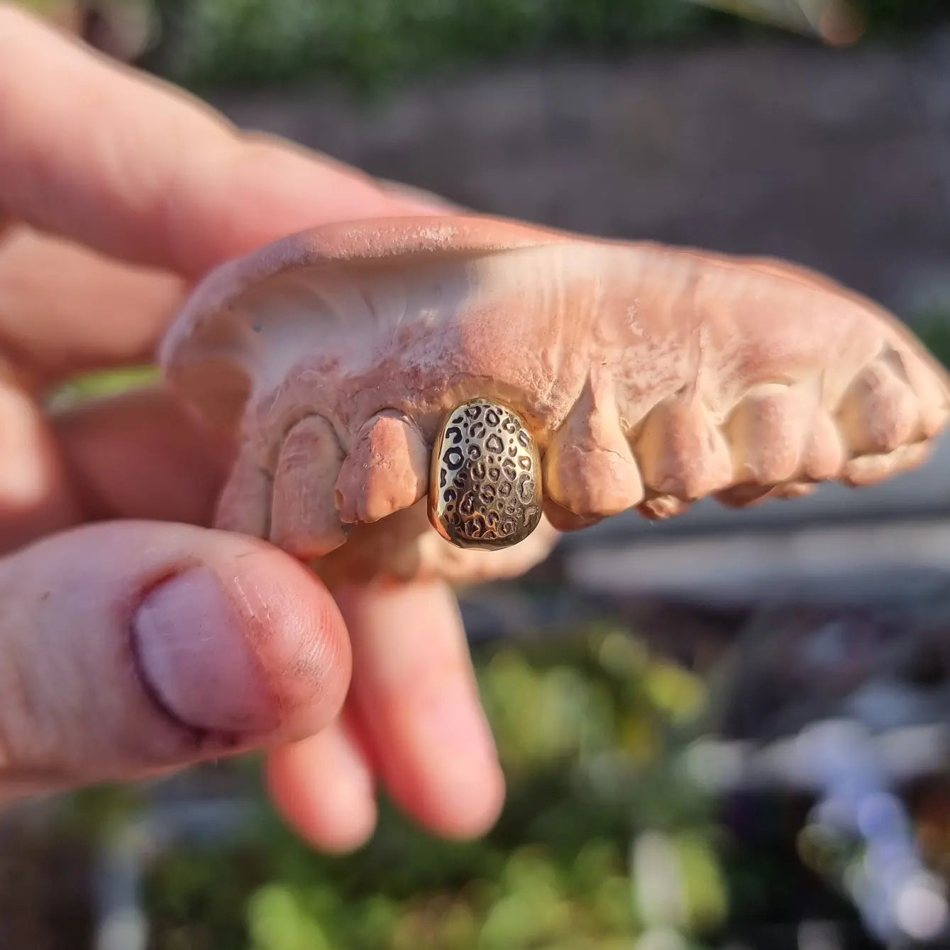 Leopard Grillz